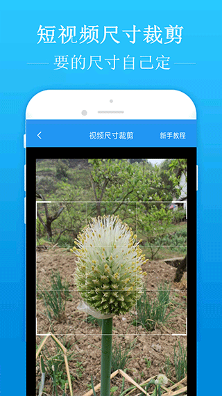 tent（tent是什么意思）